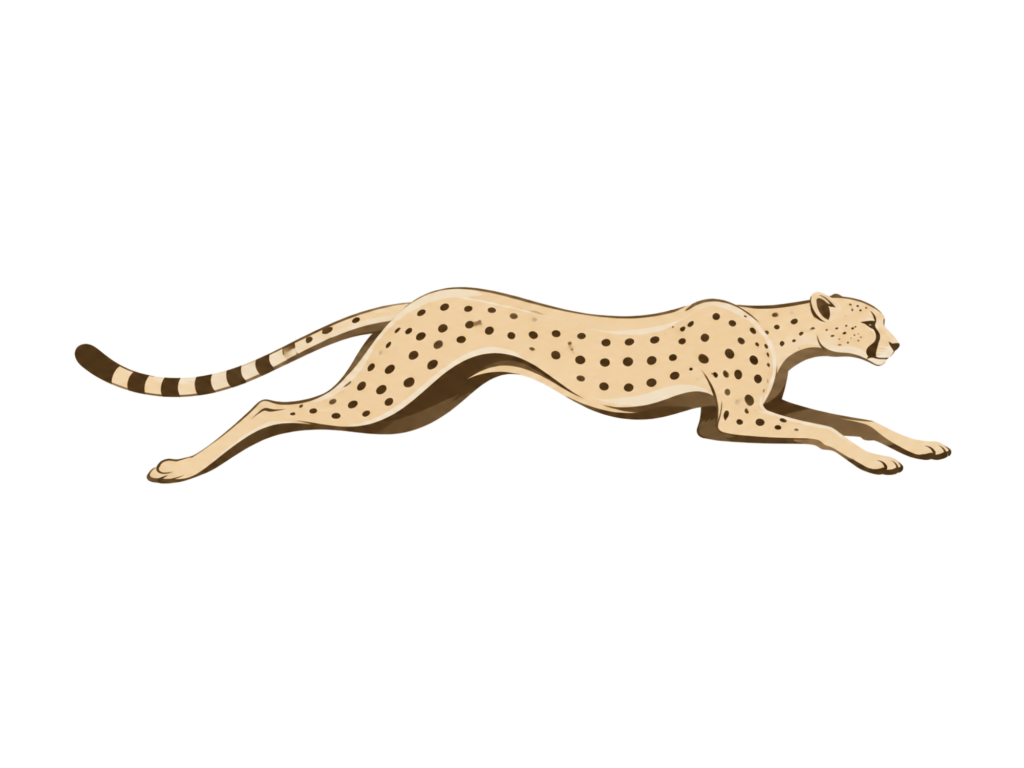 Home 7 cheetah run icon