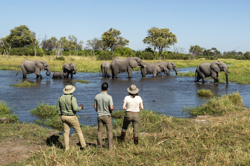 10 Days/ 9 Nights Botswana Luxury Mobile Safari 3 Walking Safari